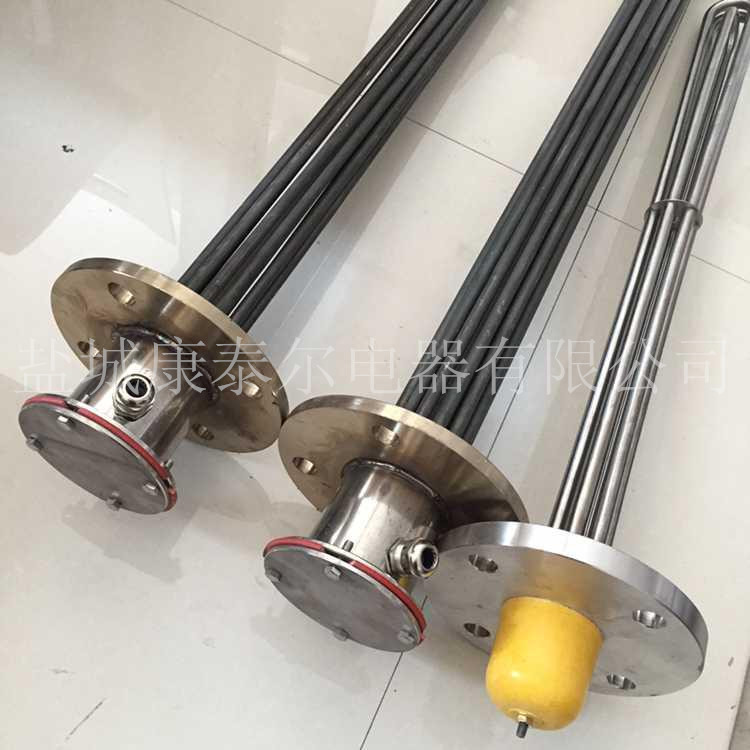 310S防爆法蘭加熱管